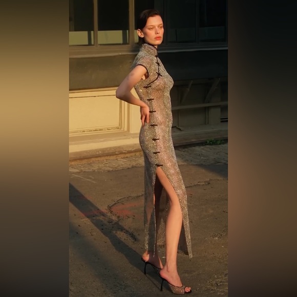 Sau Lee Crystal Dress, Size XS, Embellished Mesh, Rhinestones, Qipao - Picture 3 of 5